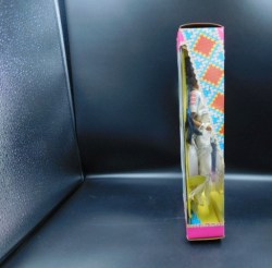 native american barbie 2 side